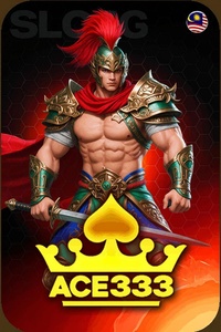 ace333